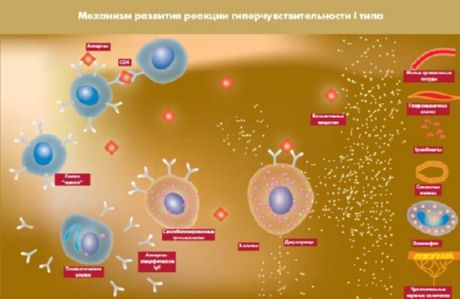 Відкрито білок, який стане новою мішенню для лікування діабету